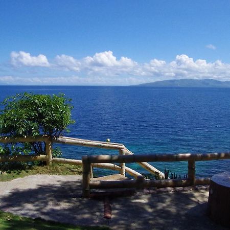 Almira Diving Resort- Panglao Eksteriør billede