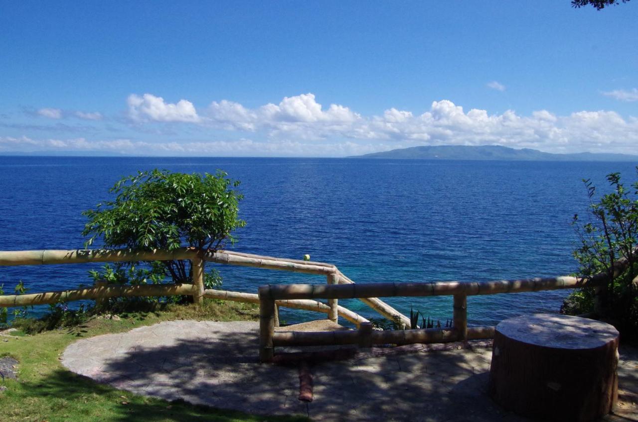 Almira Diving Resort- Panglao Eksteriør billede
