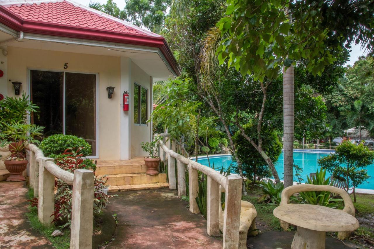 Almira Diving Resort- Panglao Eksteriør billede